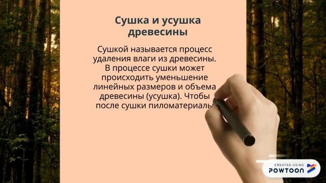 Сушка древесины смотреть онлайн