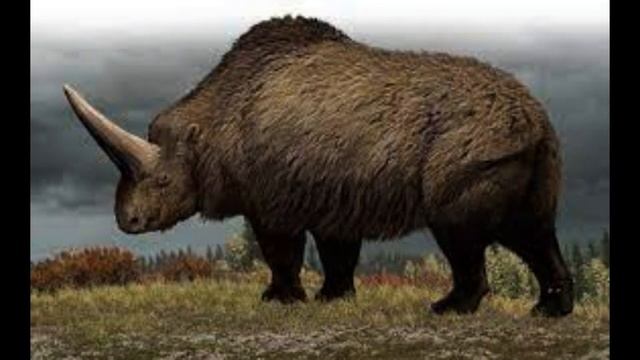 El Elasmosterio I El Unicorinio Del La Vida Real смотреть онлайн