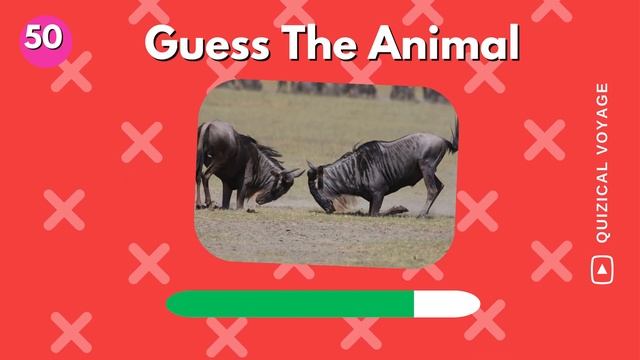 Guess The 100 Animals | Animal Quiz 🐯🐍🦈