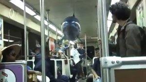 Летающая акула или рыба-клоун с дистанционным управлением