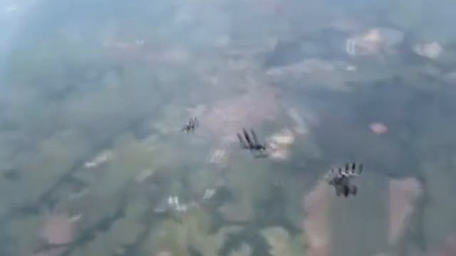 paraquedismo Boituva 8 way de 4 integrantes смотреть онлайн