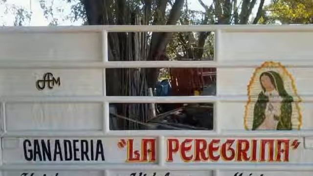 ESTRENO!!! CORRIDO DE GANADERÍA LA PEREGRINA смотреть онлайн