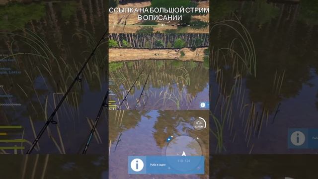 Ссылка на большой стрим в описании смотреть онлайн