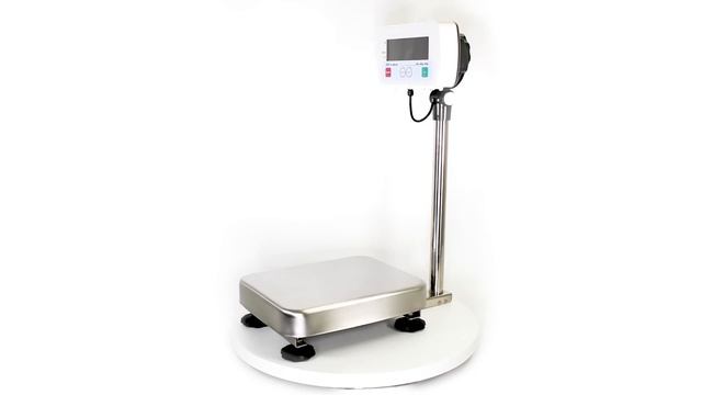 SC Series of Washdown Scales смотреть онлайн