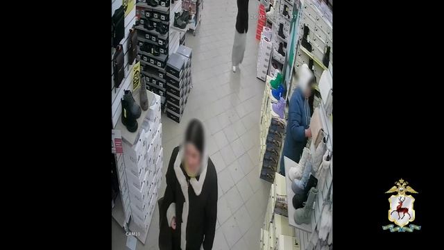 В Шахунье полицейские оперативно раскрыли кражу женских сапог из магазина смотреть онлайн
