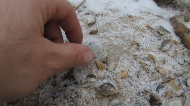 КОП МОНЕТ на острове (Открытие сезона Коп - 2017) смотреть онлайн