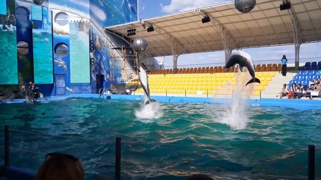 Одесский дельфинарий ♡ НЕМО ♡ 12.05.2018 Украина смотреть онлайн