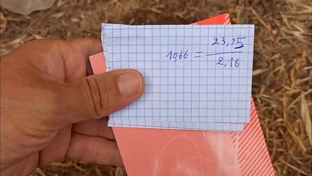 طريقة قياس الكثافة النوعية للأحجار الأحجار الكريمة والمعادن مع صدى البرية смотреть онлайн