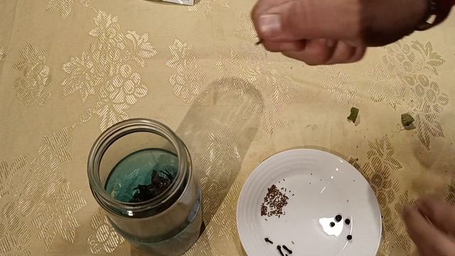 Herbatka ziołowa dla Gołębi. Co Daje i na co... смотреть онлайн
