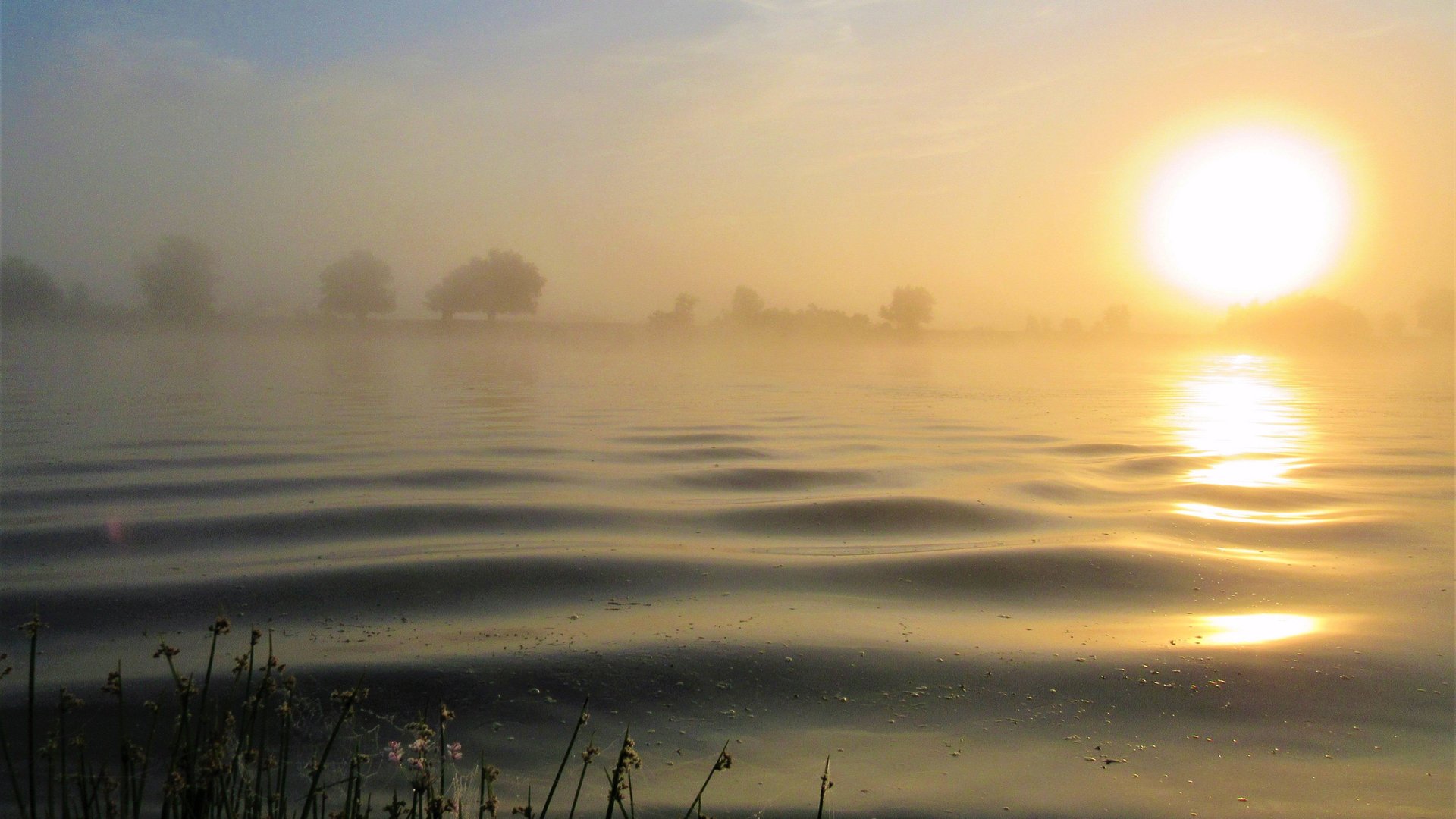 Фотопейзажи Астраханской области (2021 год) смотреть онлайн