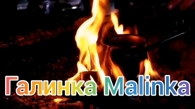 Лиса в Америке /Нытьё и слезы на работе /Обзор/ Funny 4 /Алекс Брежнев /Big Big Family /США Vlog смотреть онлайн