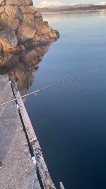 My wife tried fishing #shorts смотреть онлайн