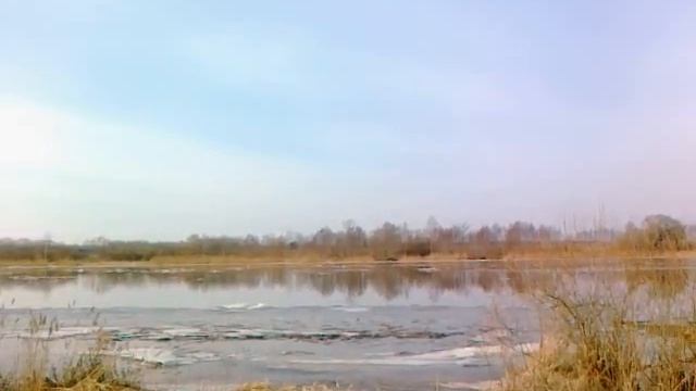 Весна на р.Лиелупе смотреть онлайн