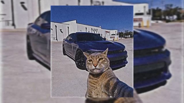 [1 HOUR] DJ NK3 - AUTOMOTIVO BAYSIDE