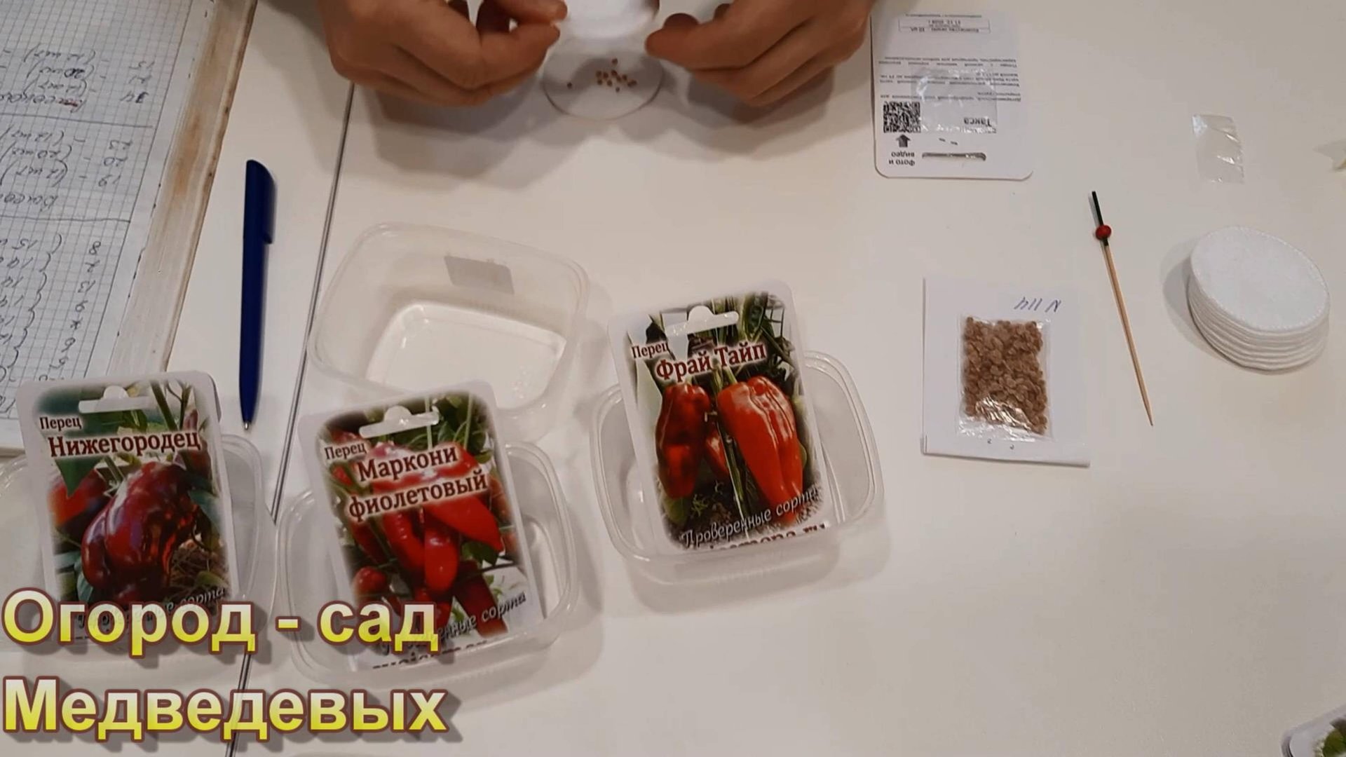 Простой способ дезинфекции семян томатов, перцев и баклажан смотреть онлайн
