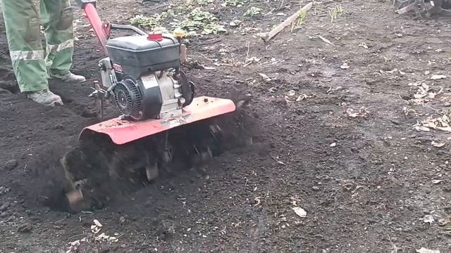 VID 20240414 173842 смотреть онлайн