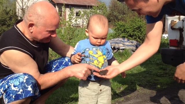 Алдарка гоняется за лягушкой смотреть онлайн