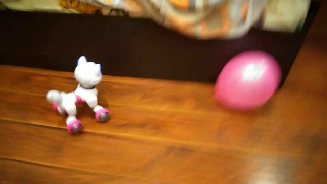 Cat-Robot смотреть онлайн