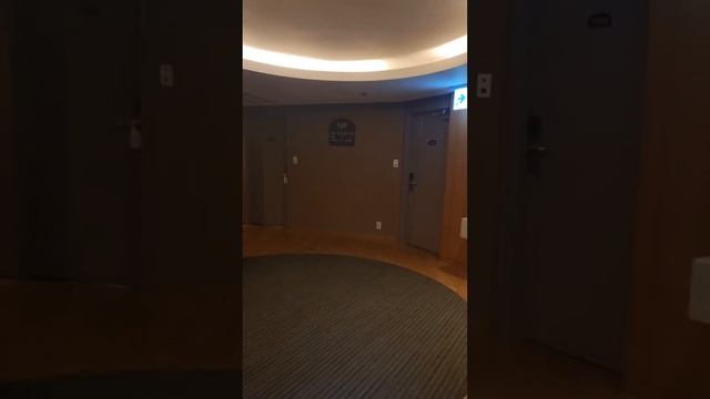 Stay one Night in New Seoul Hotel Myeong_Dong Seuol...... смотреть онлайн