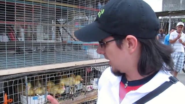 Comercio de animales en Valencia, provincia de Los Ríos, Ecuador смотреть онлайн