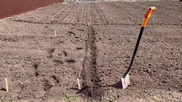 Пашем огород трактором с фрезой. Посадила картошку по веревочке. смотреть онлайн