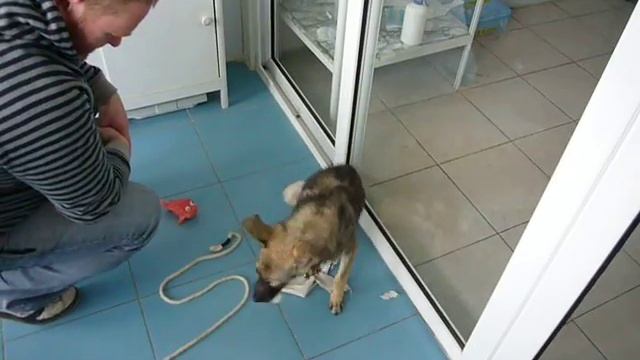 Ленче и Чебуратор смотреть онлайн