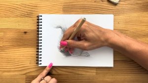 Как нарисовать белку карандашом | Рисунок для начинающих поэтапно