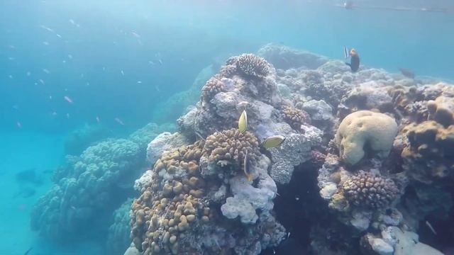 Marsa Alam El Malikia 2016