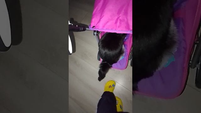 1000008150.mp4 смотреть онлайн