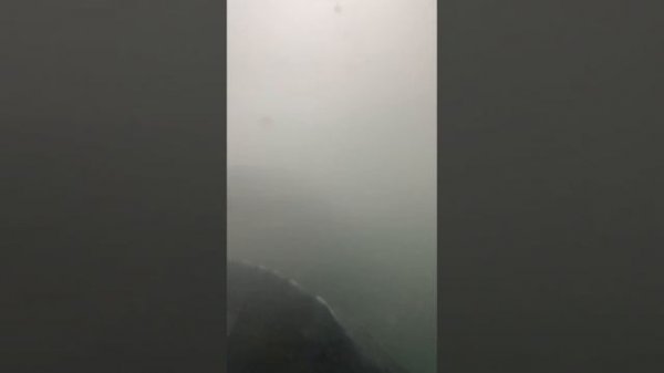 Осетр зимует