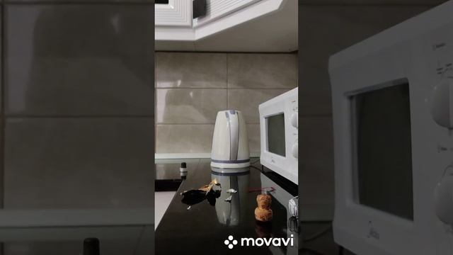 когда решил бросить пить и начал здоровый образ жизни 😁 смотреть онлайн