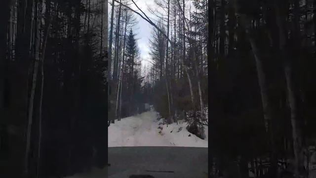 Дорога. Зимовьё. Охота. Тайга. Дорог нет. Внедорожник. Поход. Путешествие. Весна. смотреть онлайн