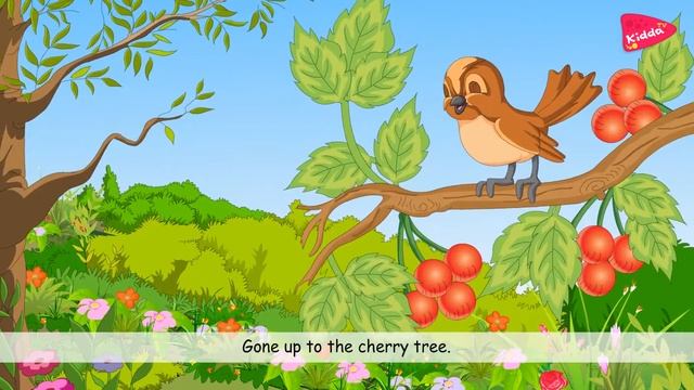 PIT PAT | Popular Kids Songs And Nursery Rhymes | Kidda TV For Children