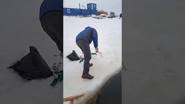 Квок смотреть онлайн