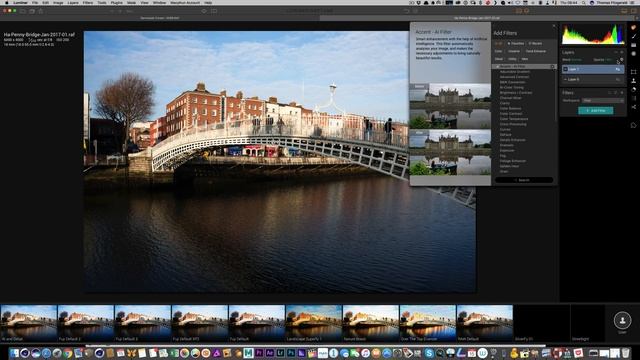 Luminar Neptune Accent AI Filter