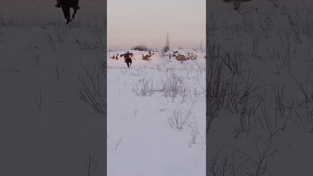 шул тай сатылат 0508723289 смотреть онлайн