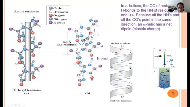 Session 2 - Genomics in the Virtual Lab смотреть онлайн