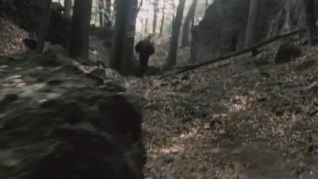 Grizzly II: Revenge | Exclusive Clip "Bear Attack" HD смотреть онлайн