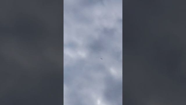 голуби Хамида смотреть онлайн