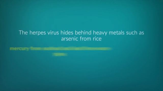 Herbal Results Herpes Eradication Protocol