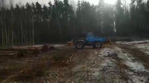 Выкорчевка,Раскорчевка деревьев диаметр 20 см.Расчистка полей.Удаление деревьев.