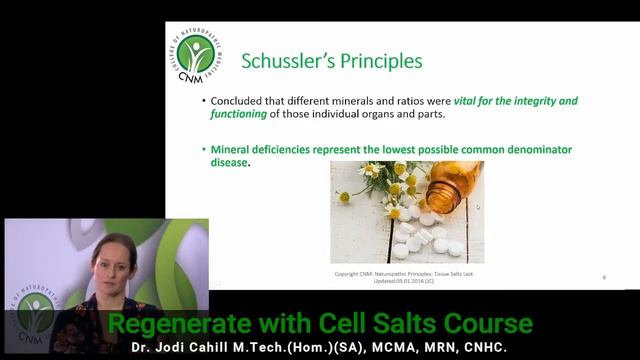 Dr. Schuessler's Principles (Tissue Salts) смотреть онлайн