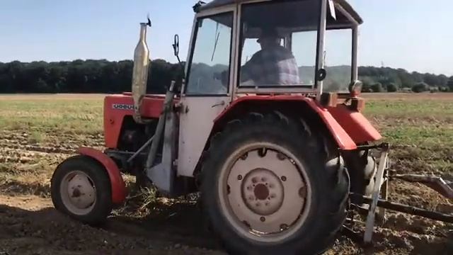 Wykopki Ziemniaków/ Stary niemiecki kombajn do ziemniaków/ Ursus c330 смотреть онлайн