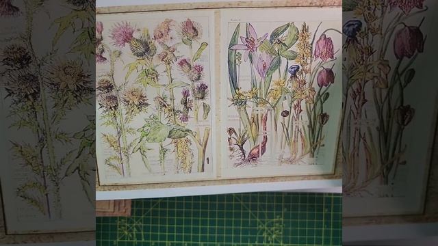 Wild flower Digi kit flip through. смотреть онлайн