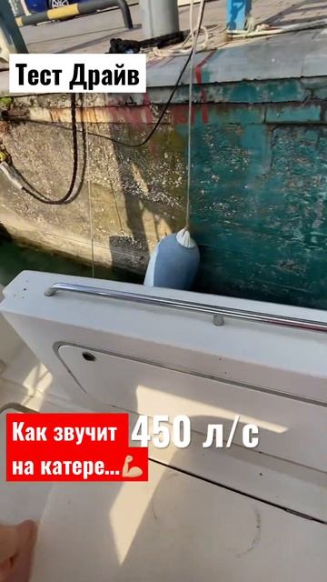 Катер & Яхта 450 л.с тест драйв на скорость #shorts #жекатв #яхта #мощь смотреть онлайн