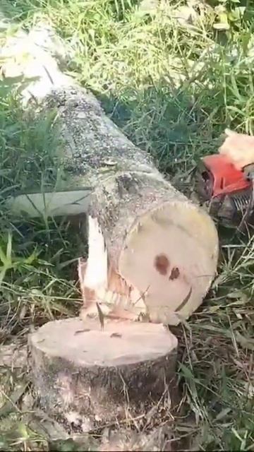 Husqvarna #Shorts смотреть онлайн