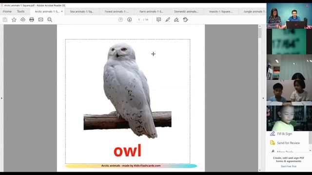 English T.Artem Animals 01/05/2020 смотреть онлайн