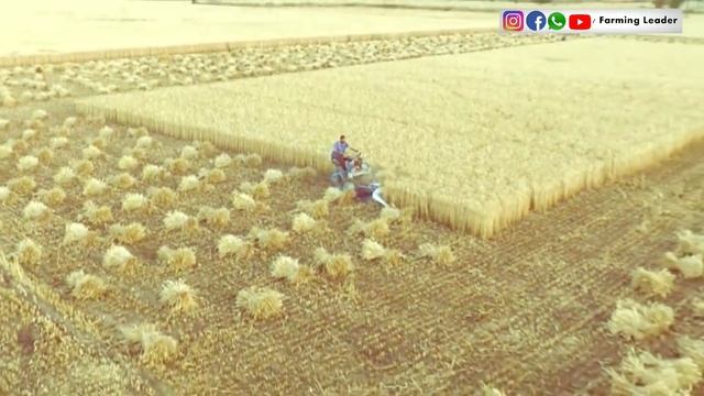 गेहूं/धान/हरा चारा कटाई बधाई मशीन|BCS Reaper Binder Machine Harvest Paddy/Wheat/Fodder|Price смотреть онлайн
