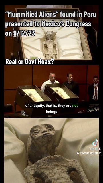 "Mummified Aliens" discovered in Peru presented to Mexican Congress on 9/12/23, Real or Hoax? смотреть онлайн