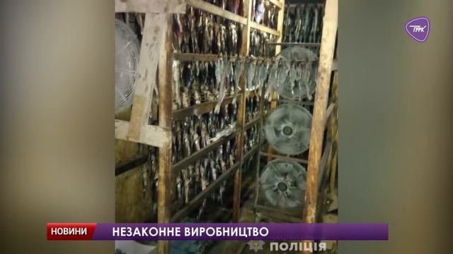На Дніпропетровщині викрили цех, де рибу вимочували у невідомій рідині